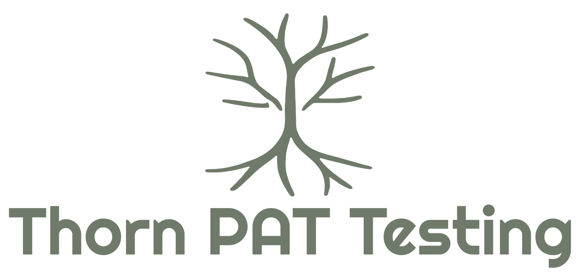 Thorn PAT Testing Blog